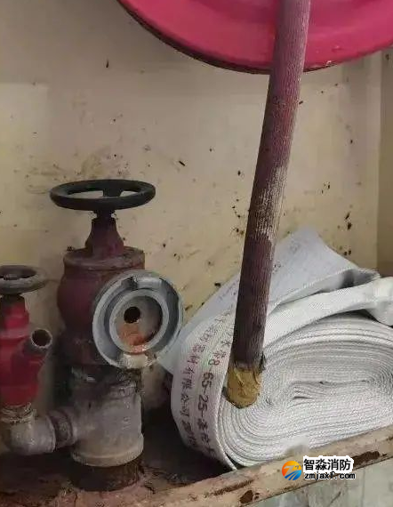 1655694350765699.png image.png