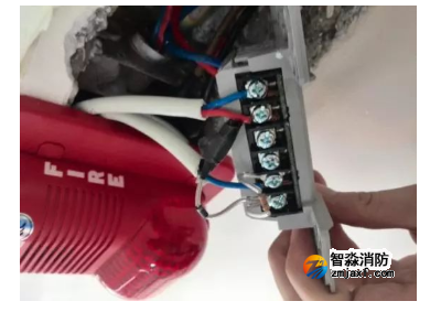 1658711831127544.png image.png