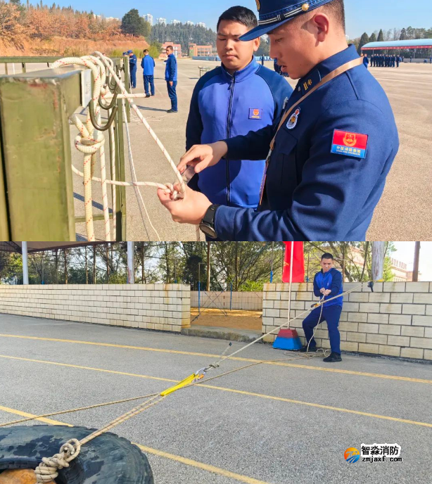 1675308494120360.png image.png